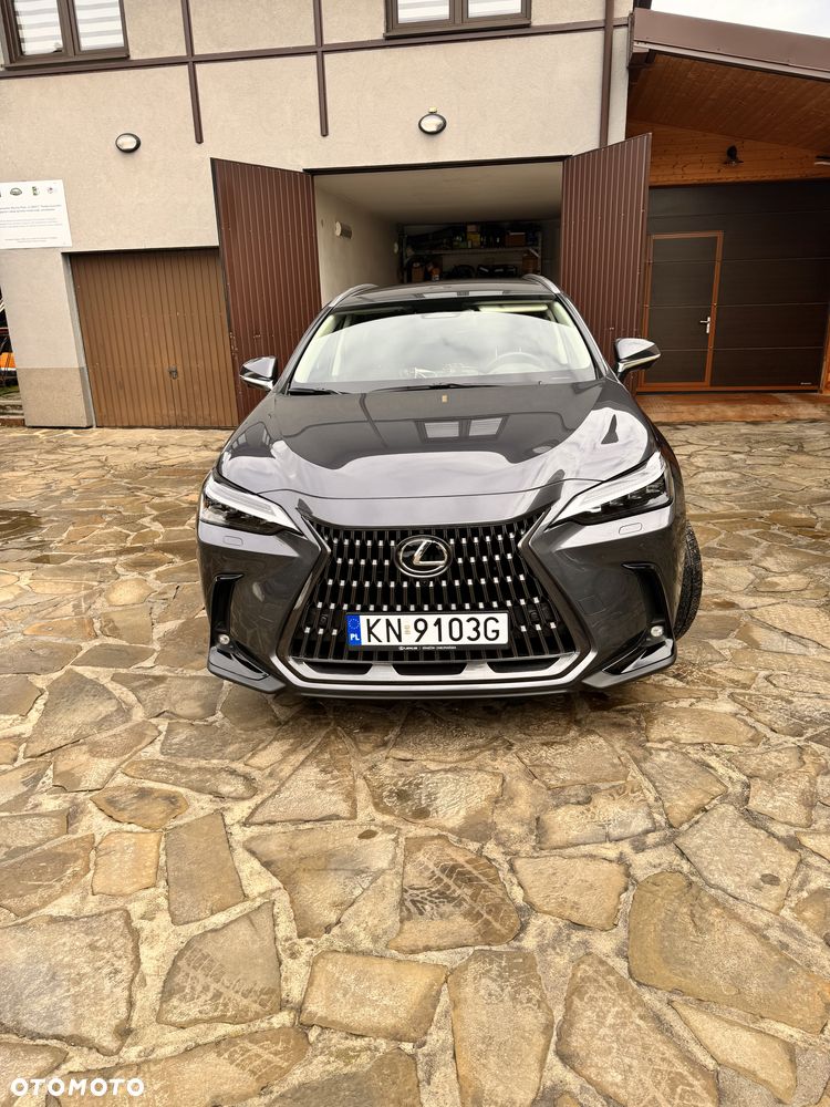 Lexus NX 450h+ Omotenashi AWD - 3