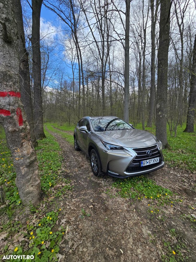 Lexus Seria NX 200t AWD Luxury - 14