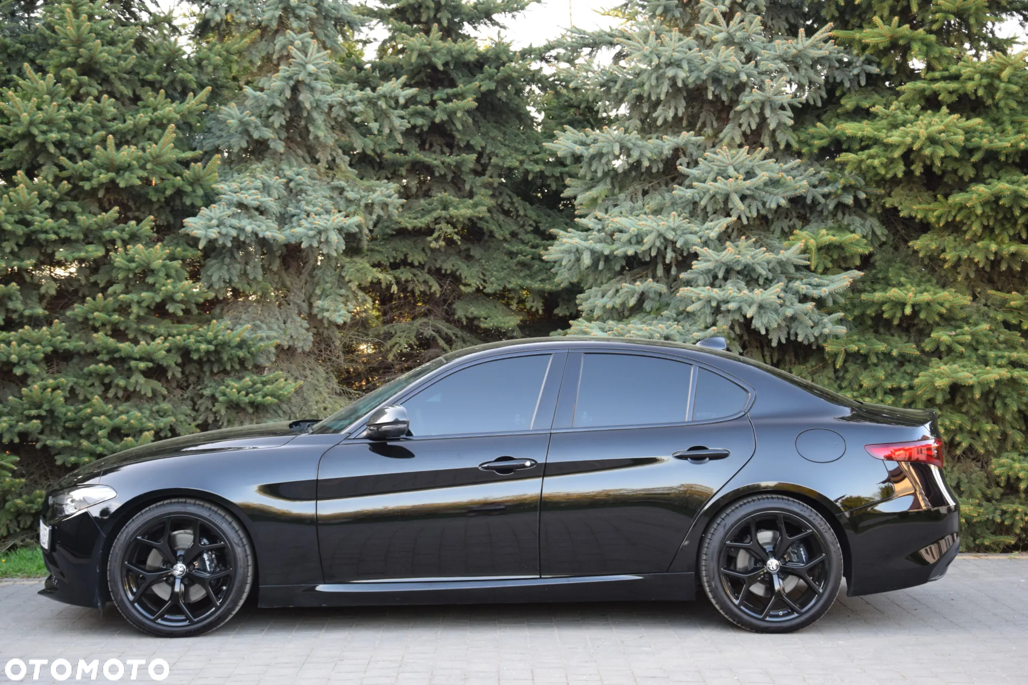 Alfa Romeo Giulia 2.0 Turbo 16V AT8 Veloce - 6