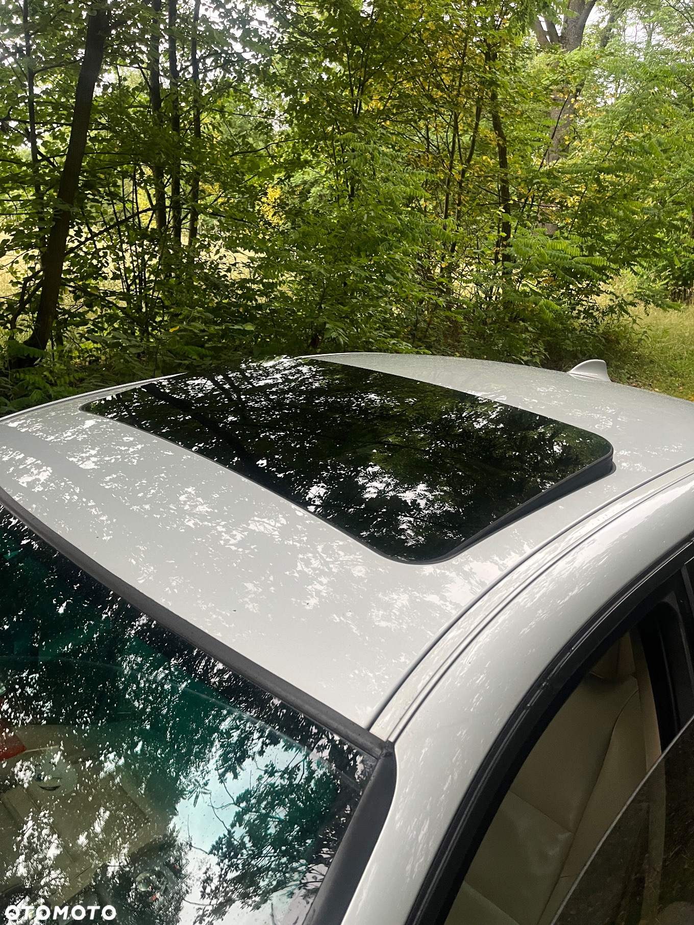 BMW Seria 5 - 11
