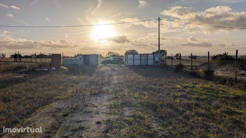 Terreno 5000m2 - Benavente - Santarém - Grande imagem: 3/12