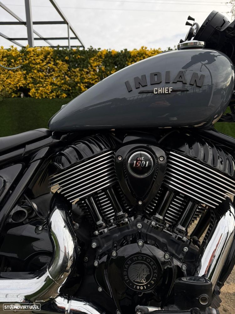 Indian Chief Dark Horse - 9