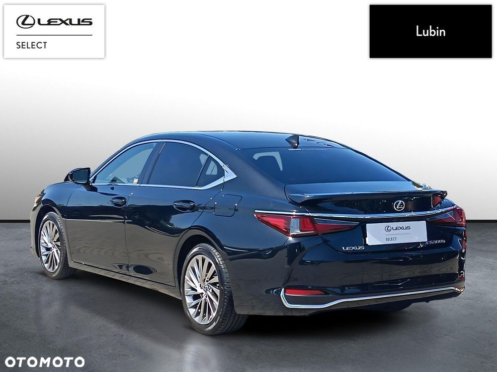 Lexus ES 300h Omotenashi - 4