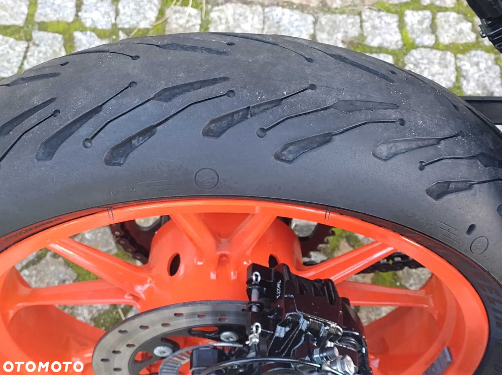 KTM Duke - 23
