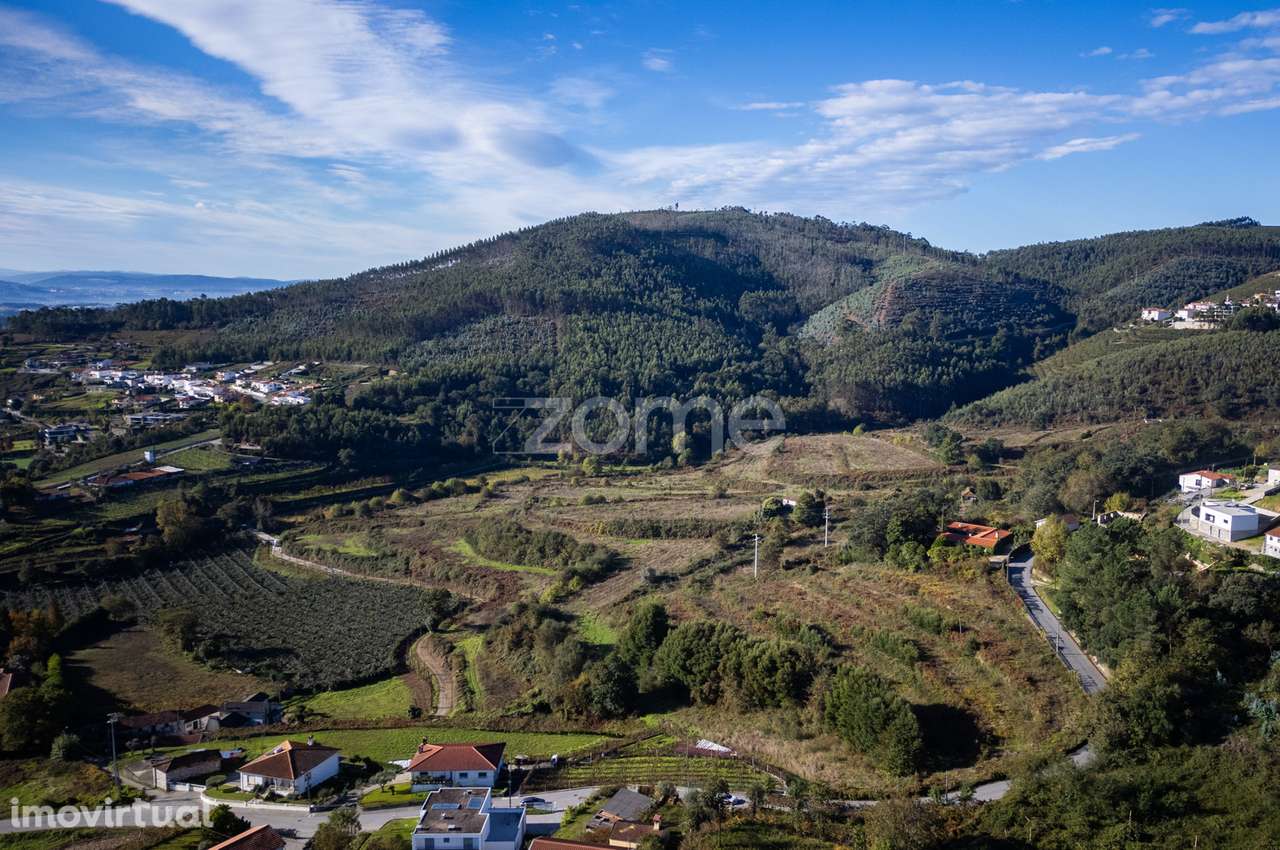Quinta em Baltar com 35 Hectares de Terreno - Grande imagem: 2/52
