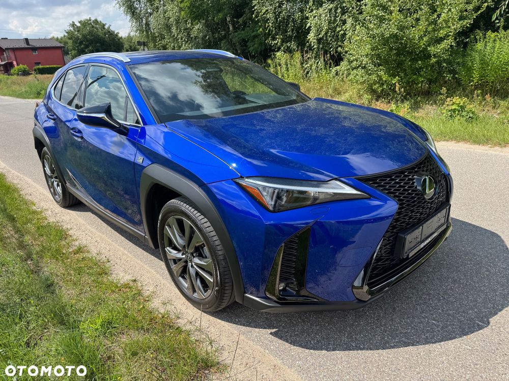 Lexus UX 300h F Sport Design - 16