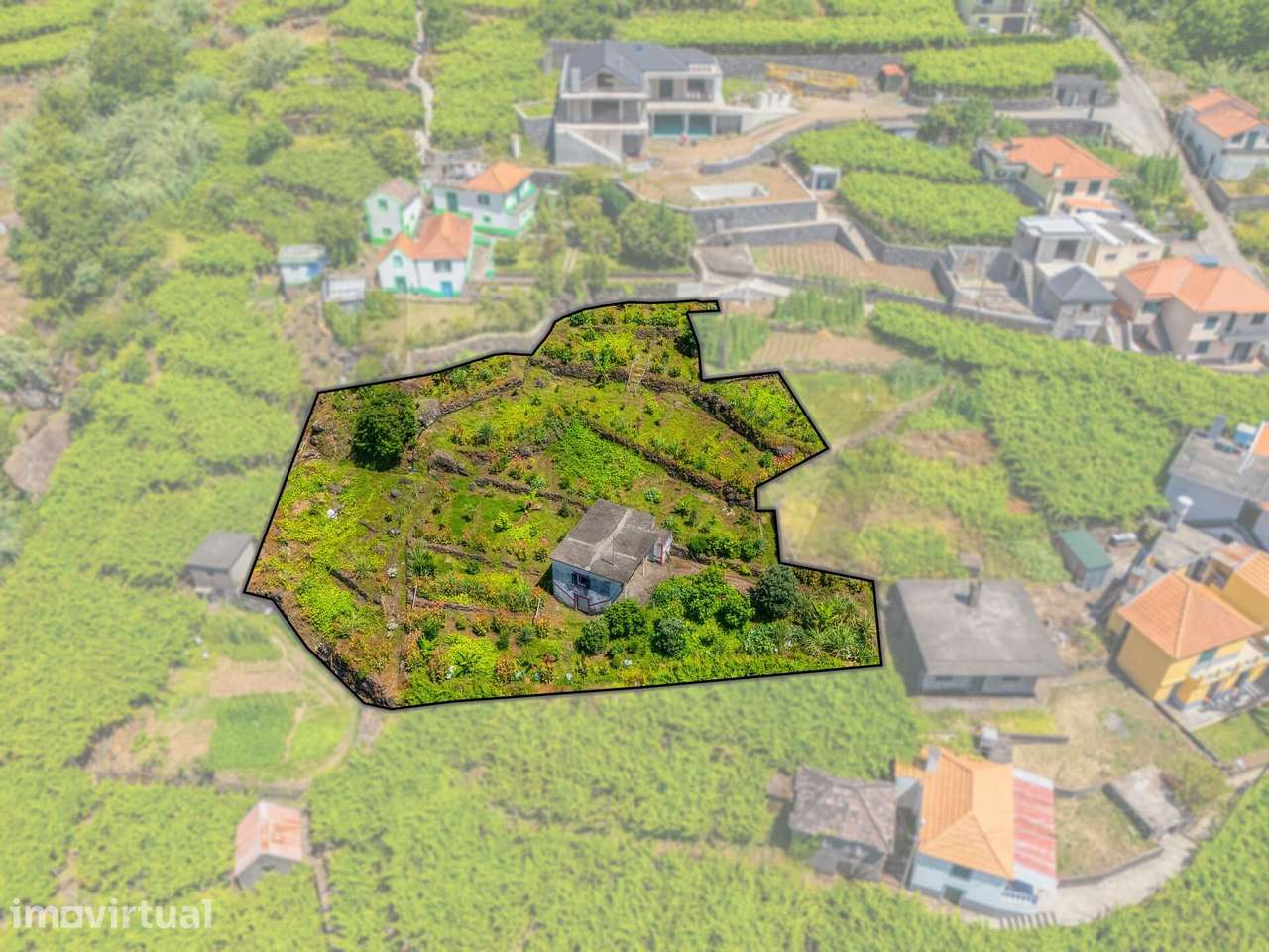 Terreno em S. Vicente | 1370m2 | Com Armazém Agrícola - Grande imagem: 2/22