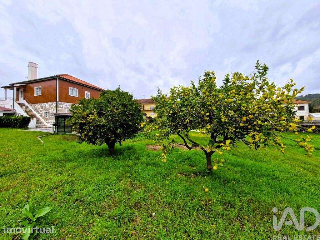 Terreno em Vila de Punhe - Grande imagem: 3/4