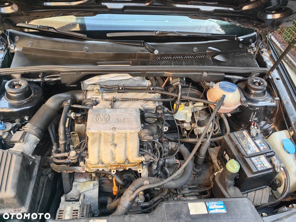 Volkswagen Golf Cabrio 1.6 - 10