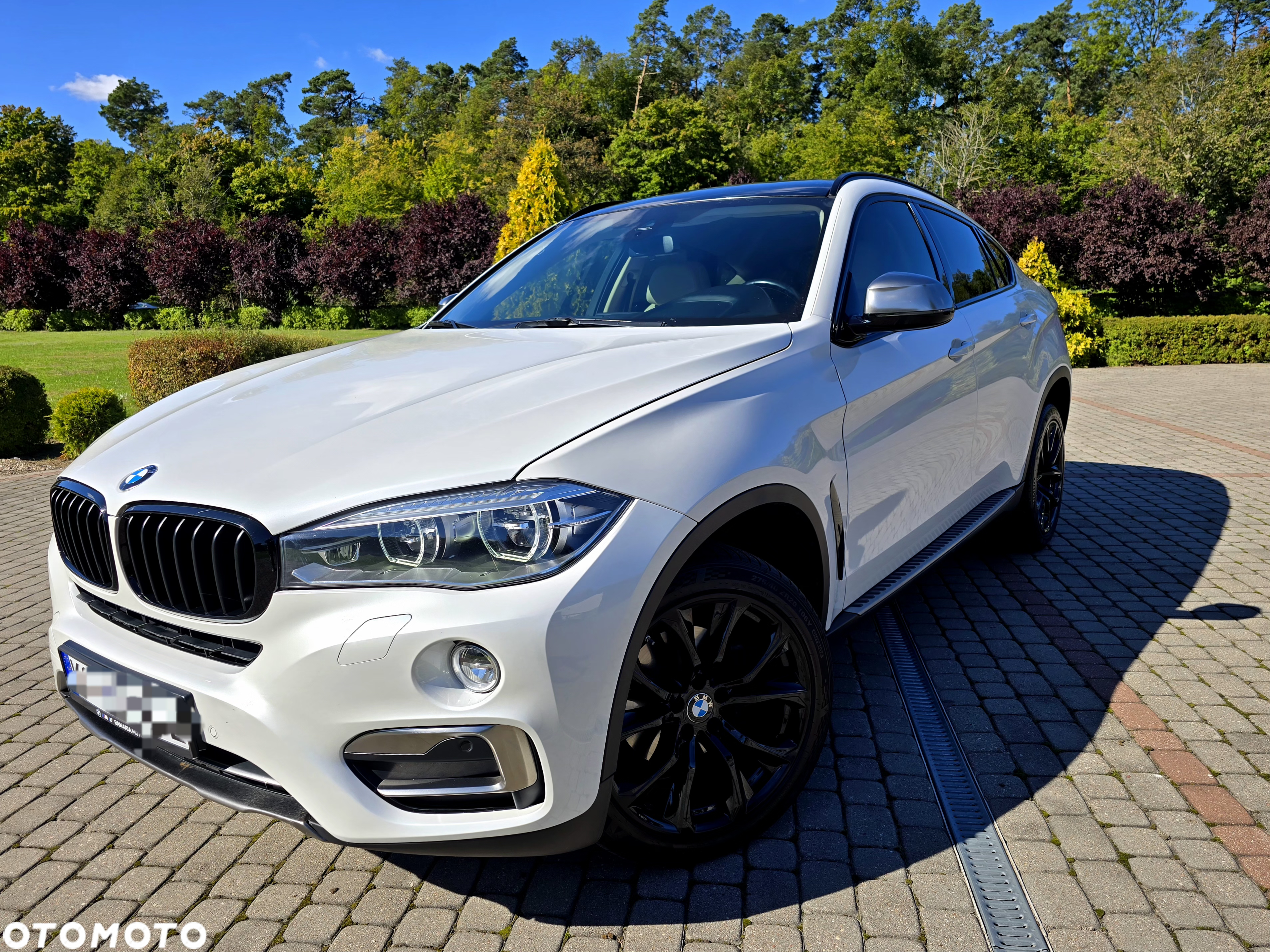 BMW X6 xDrive30d M Sport - 24