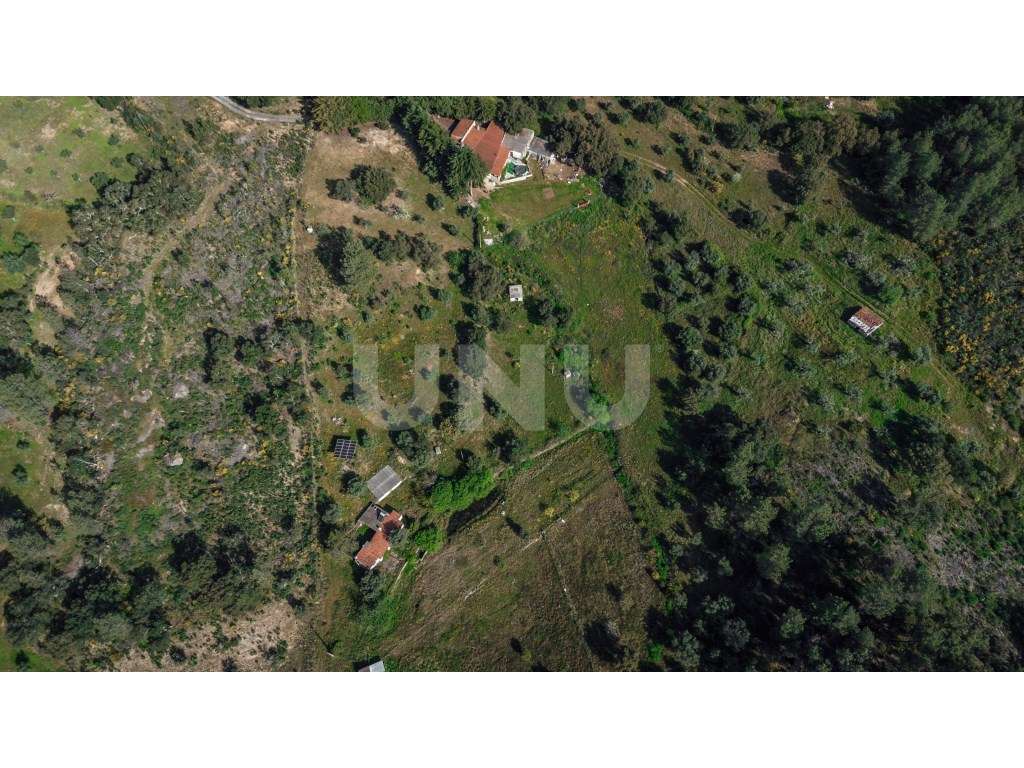 Quinta T3 com 14 630m2 de área - Grande imagem: 4/41