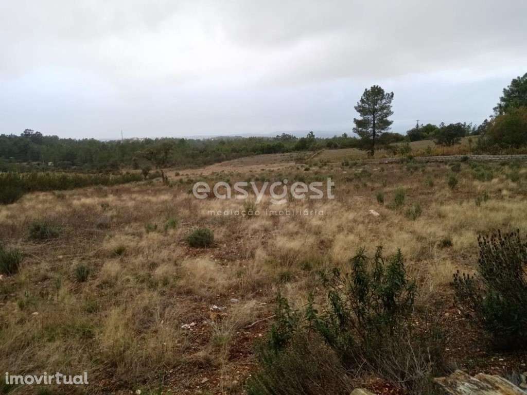 Excelente Terreno Rústico na freguesia de Benquerencas , C. Branco - Grande imagem: 2/16