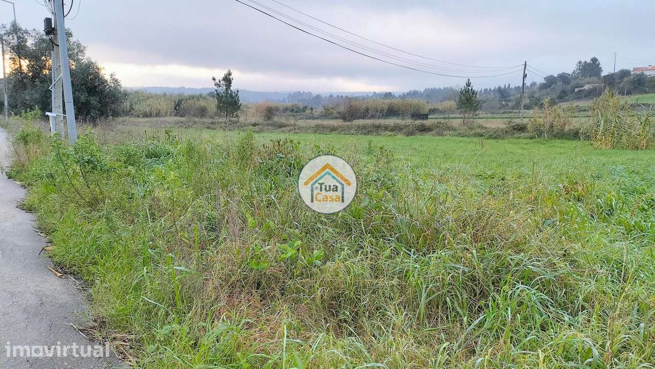 Terreno Rústico com Viabilidade de Construção - Grande imagem: 2/15