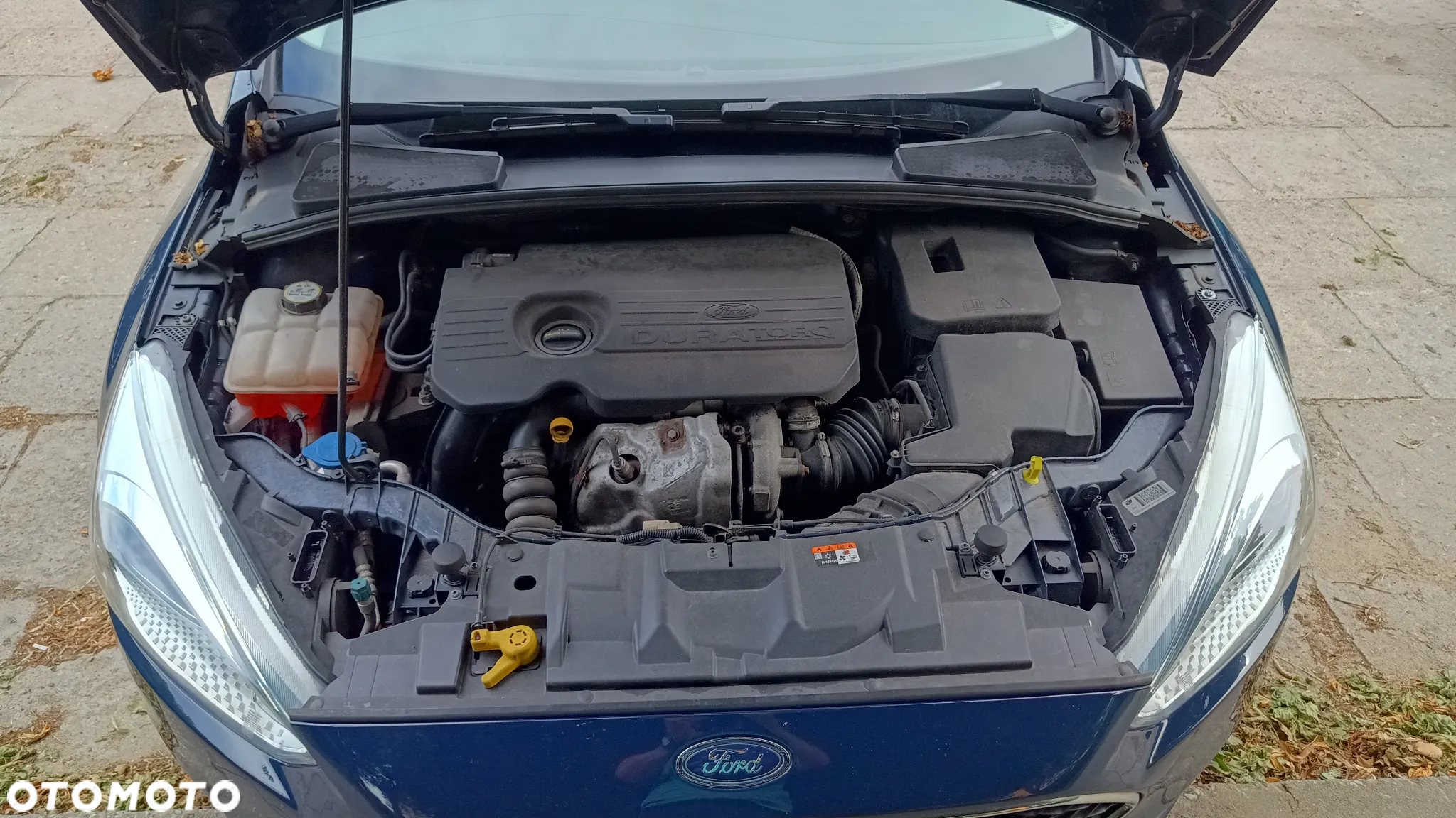Ford Focus 1.5 TDCi Red Edition - 9
