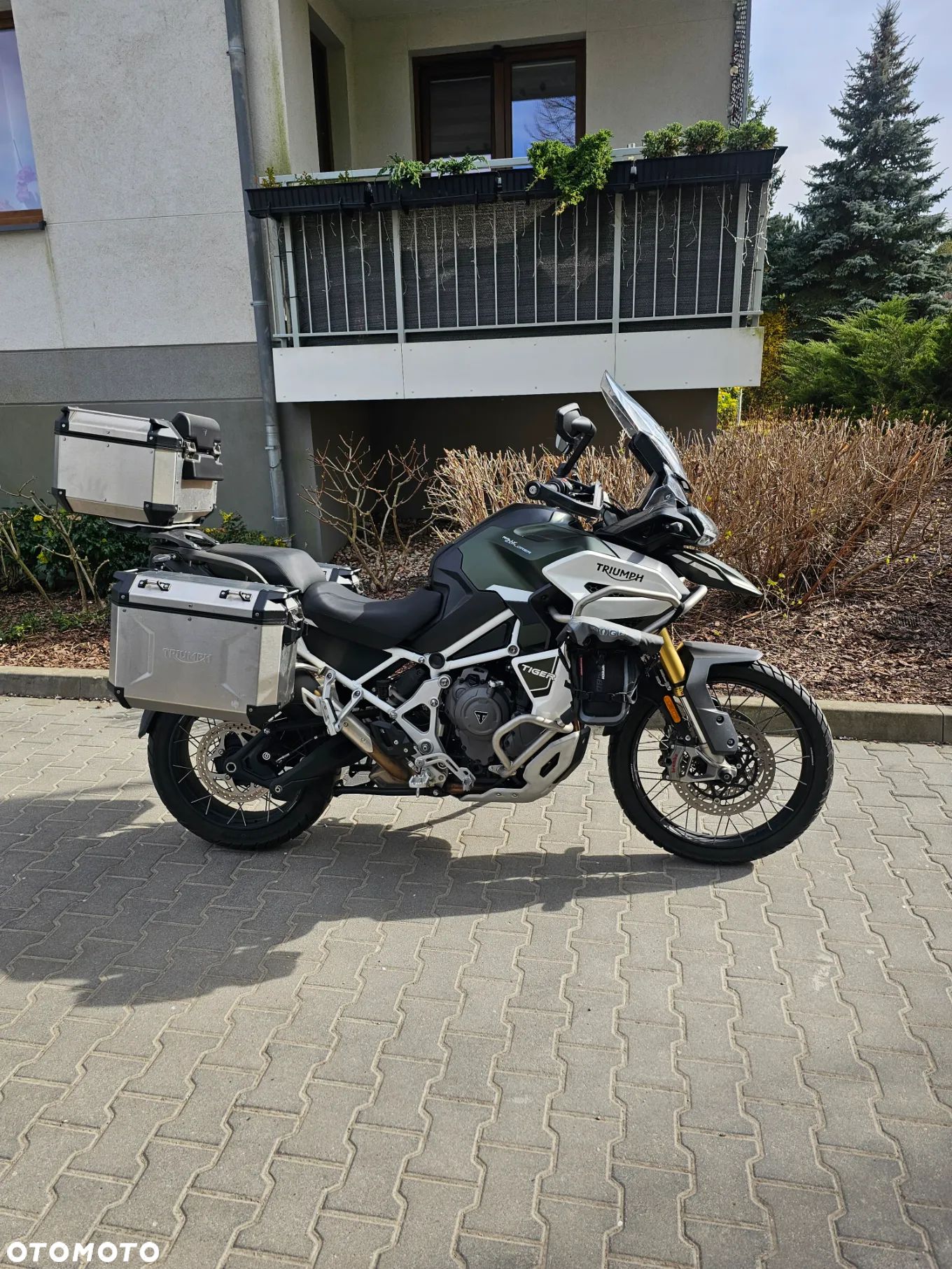 Triumph Tiger - 1