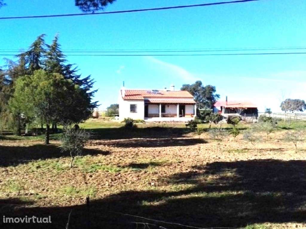 Serpa/Vila Nova de São Bento. Quinta para Venda. - Grande imagem: 2/6