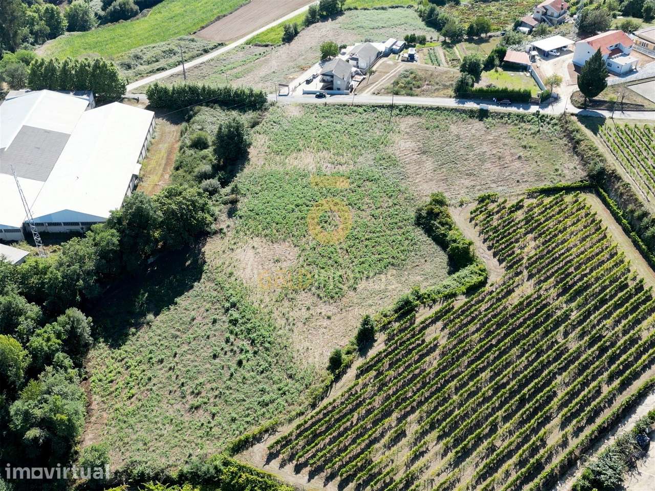 Terreno Para Construção  Venda em Figueiró (Santiago e Santa Cristina) - Grande imagem: 2/2