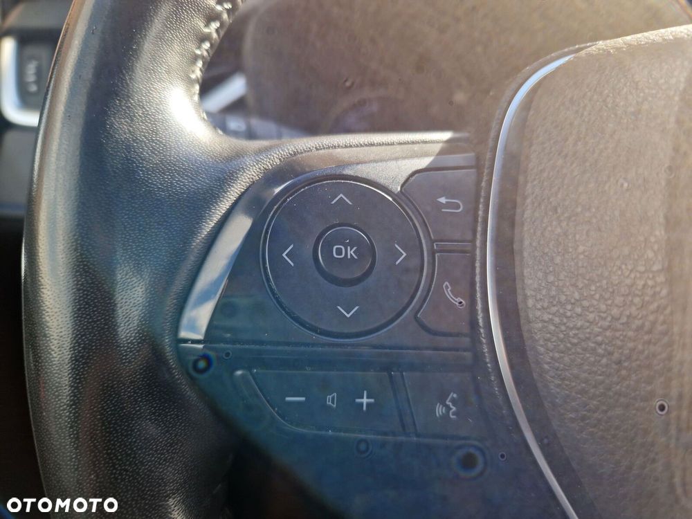Toyota RAV4 Hybrid Selection 4x2 - 19