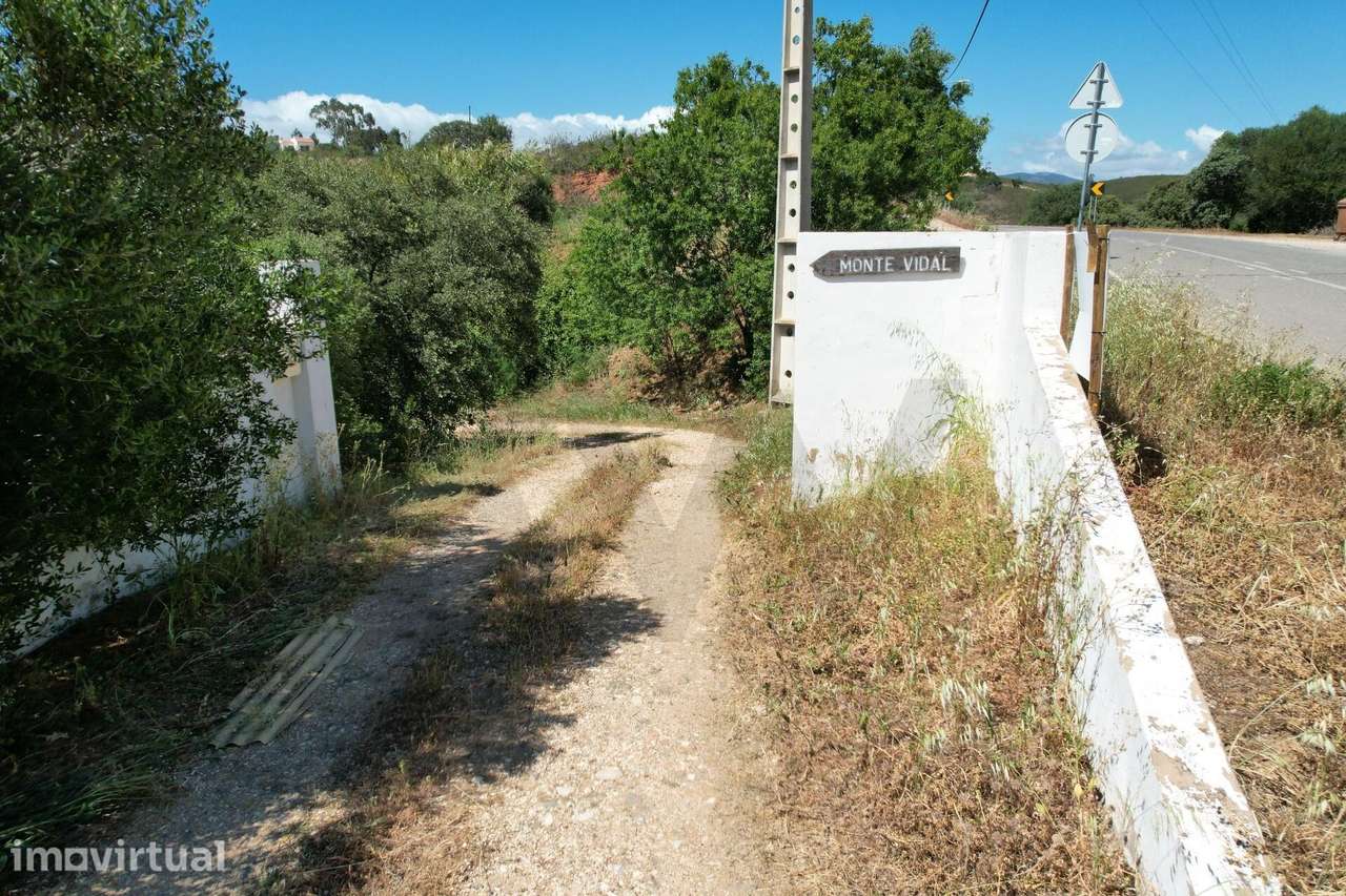 Quinta com casa e arrecadações com 23000m2 e dois poços na Senhora do - Grande imagem: 3/40