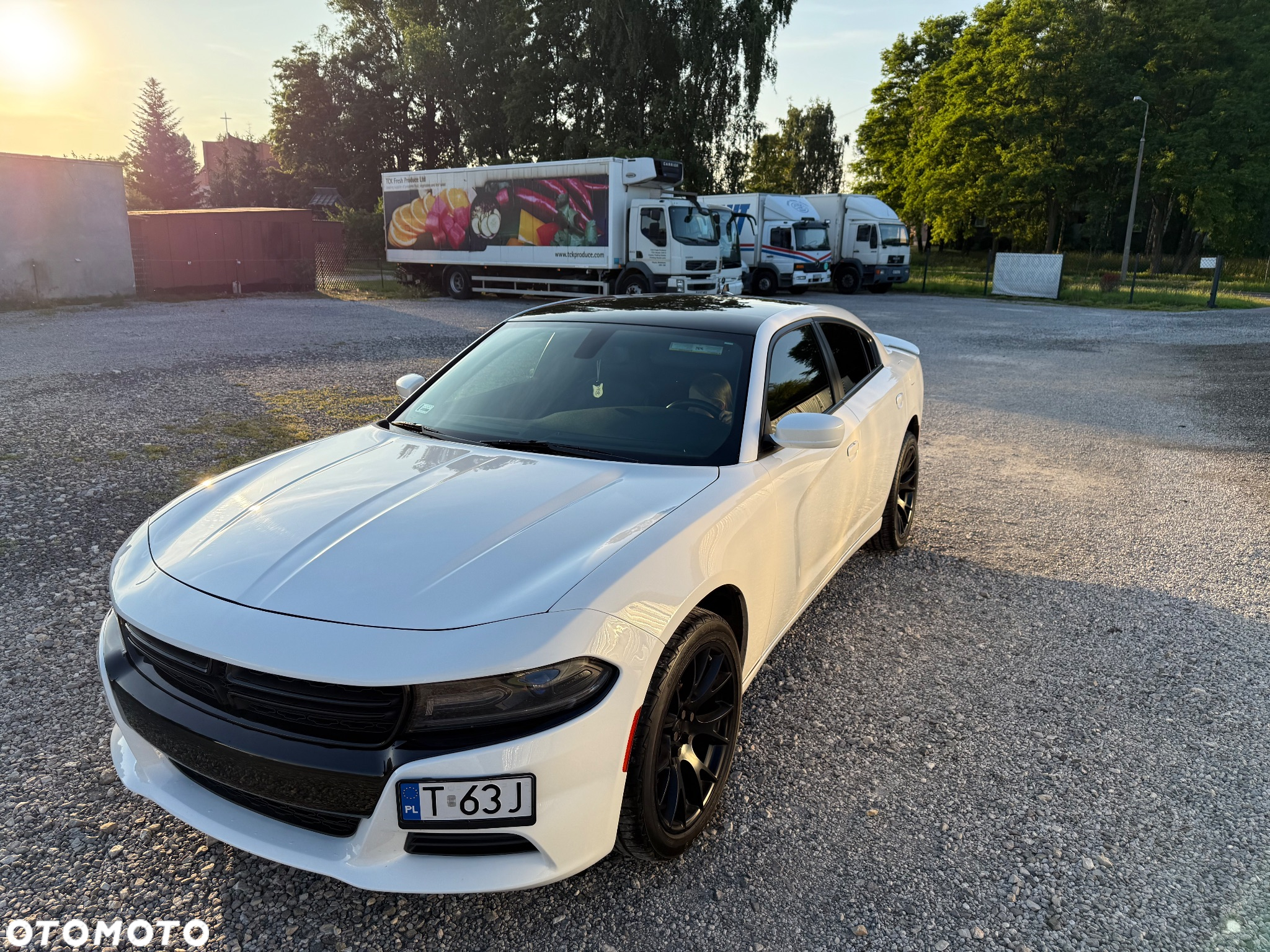 Dodge Charger - 11