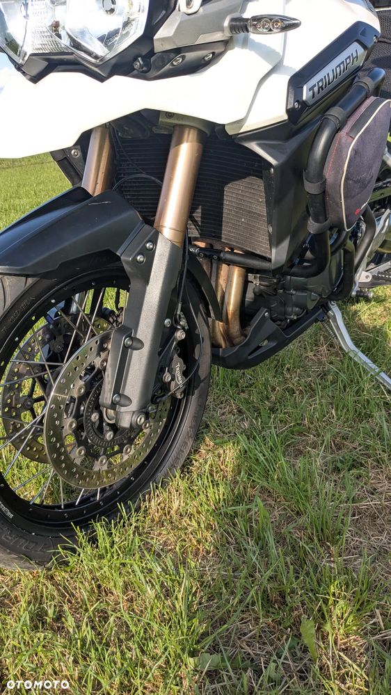 Triumph Tiger - 18