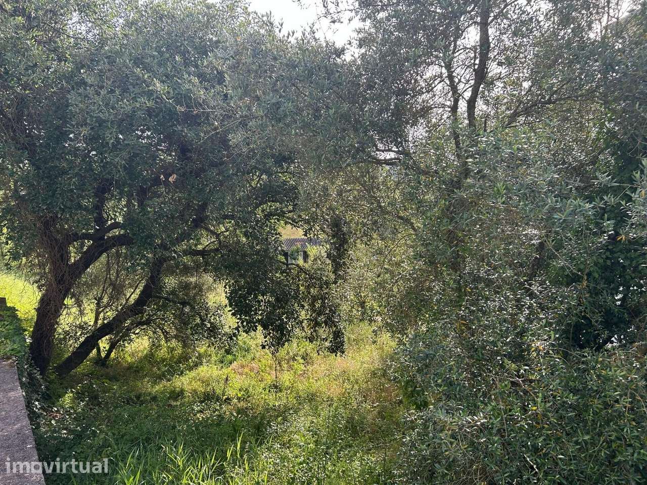 Terreno urbano em Soure - Encosta do Sol - Grande imagem: 5/10