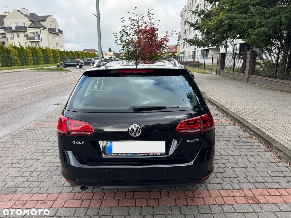 Volkswagen Golf VII 1.6 TDI BMT Highline - 6