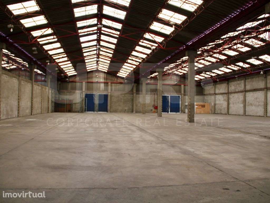 Armazém Logístico 1.075m2 | ARRENDA | Matosinhos - Grande imagem: 3/12