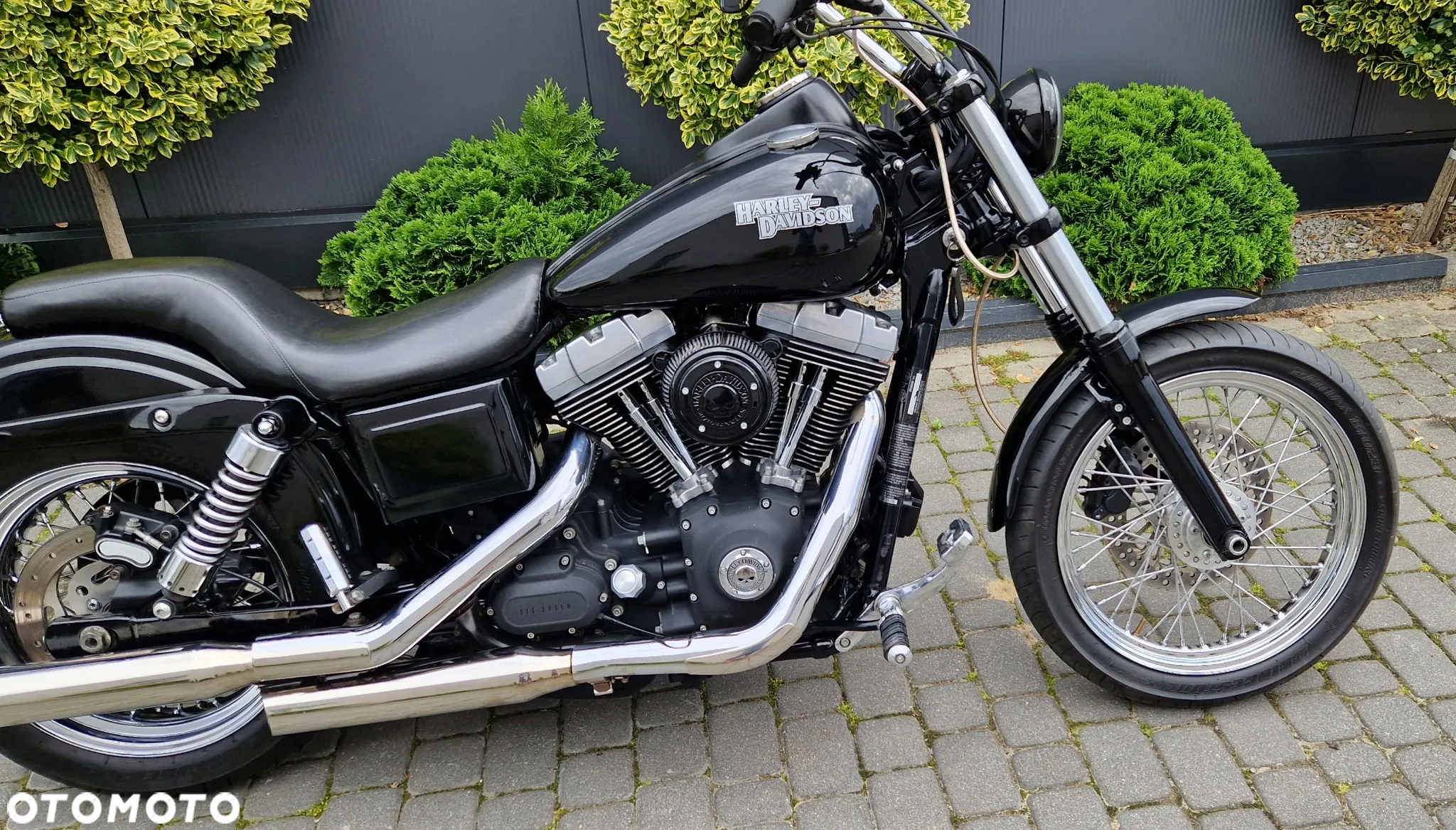 Harley-Davidson Dyna Street Bob - 20