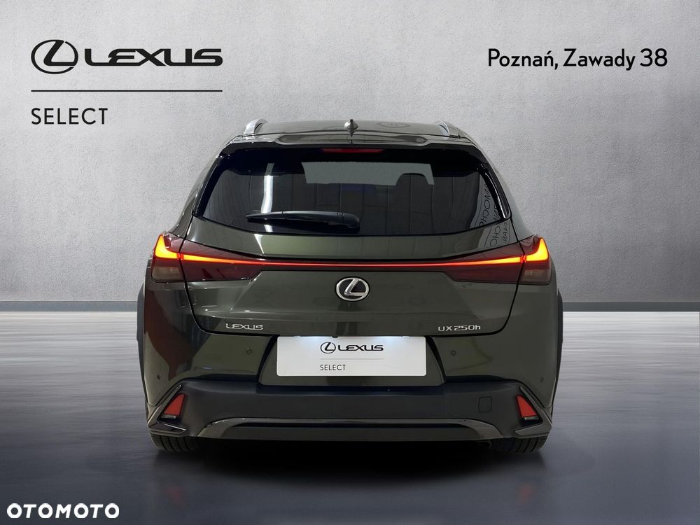 Lexus UX 250h GPF F Sport Design 2WD - 9