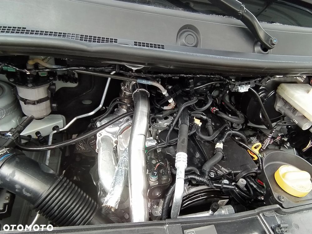 Opel MOVANO # L4 MAX DŁUGI # MAŁY PRZEBIEG # SALON POLSKA # GWARANCJA MECHANICZNA 1 ROK # FAKTURA VAT23% - 19