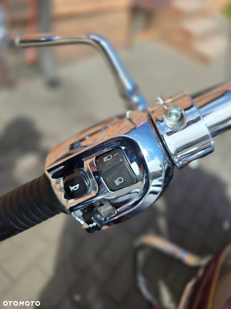 Indian Springfield - 10