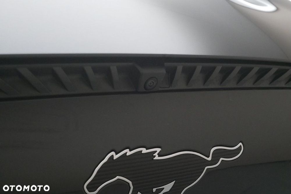 Ford Mustang Mach-E - 21