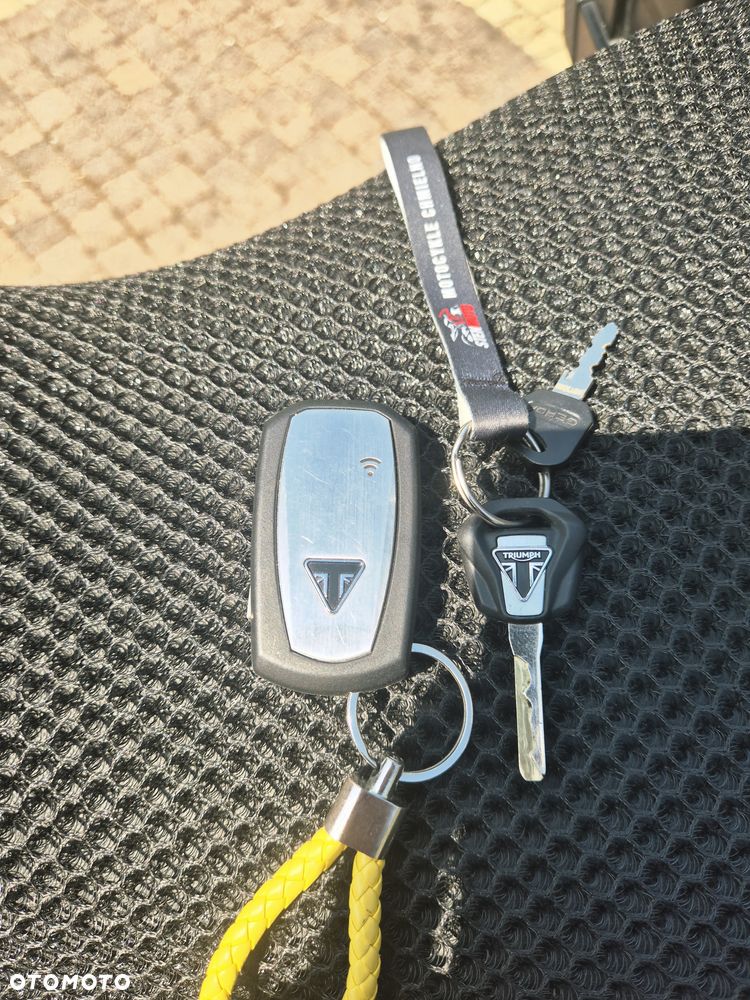 Triumph Tiger - 18