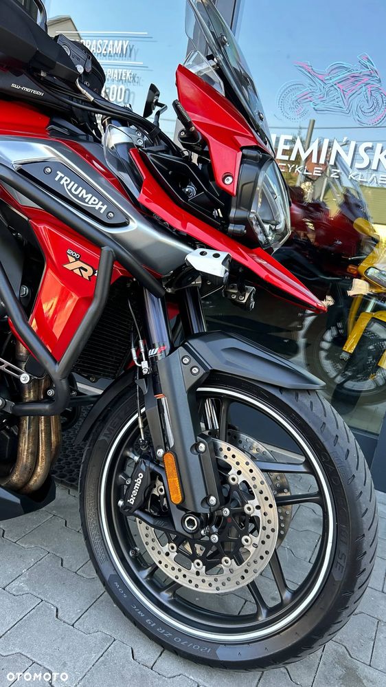 Triumph Tiger - 19