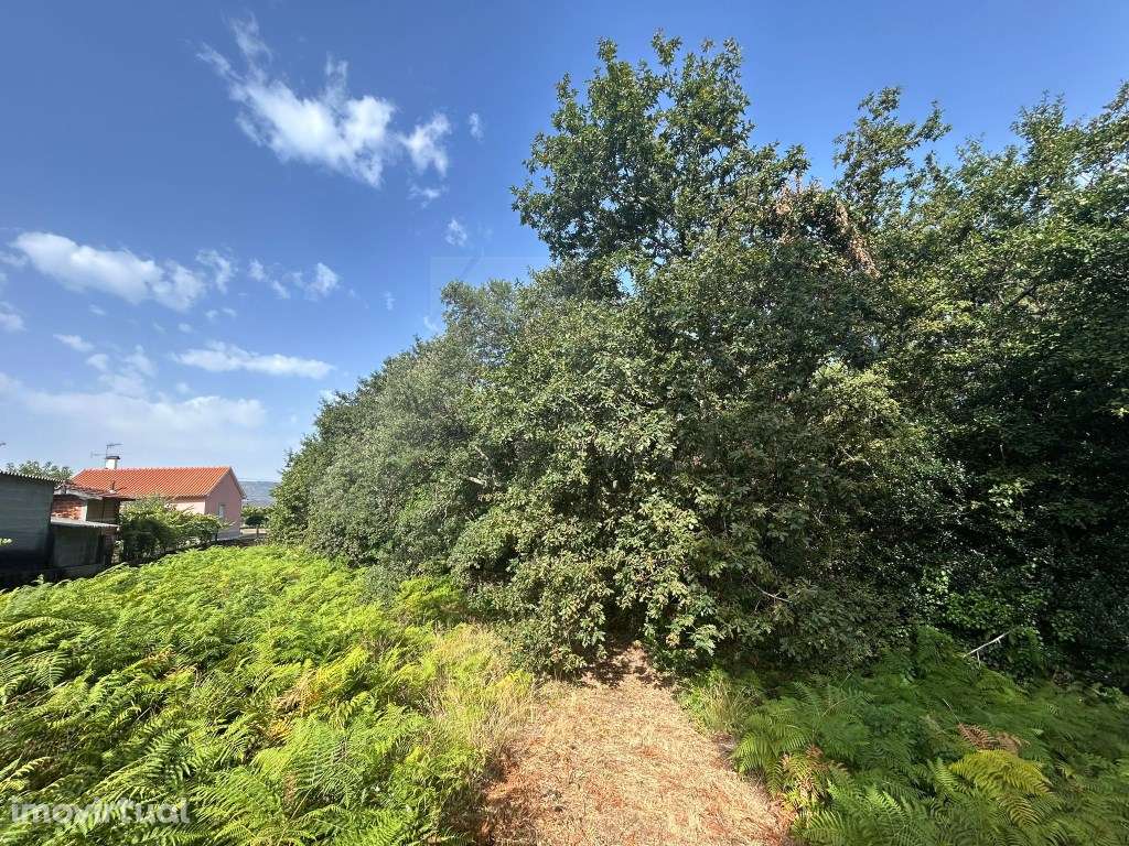 Terreno de construção em Agualonga - Grande imagem: 5/6