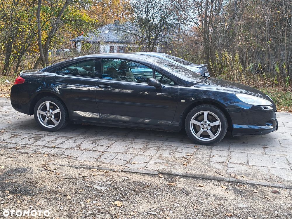 Peugeot 407 165 Platinum - 11