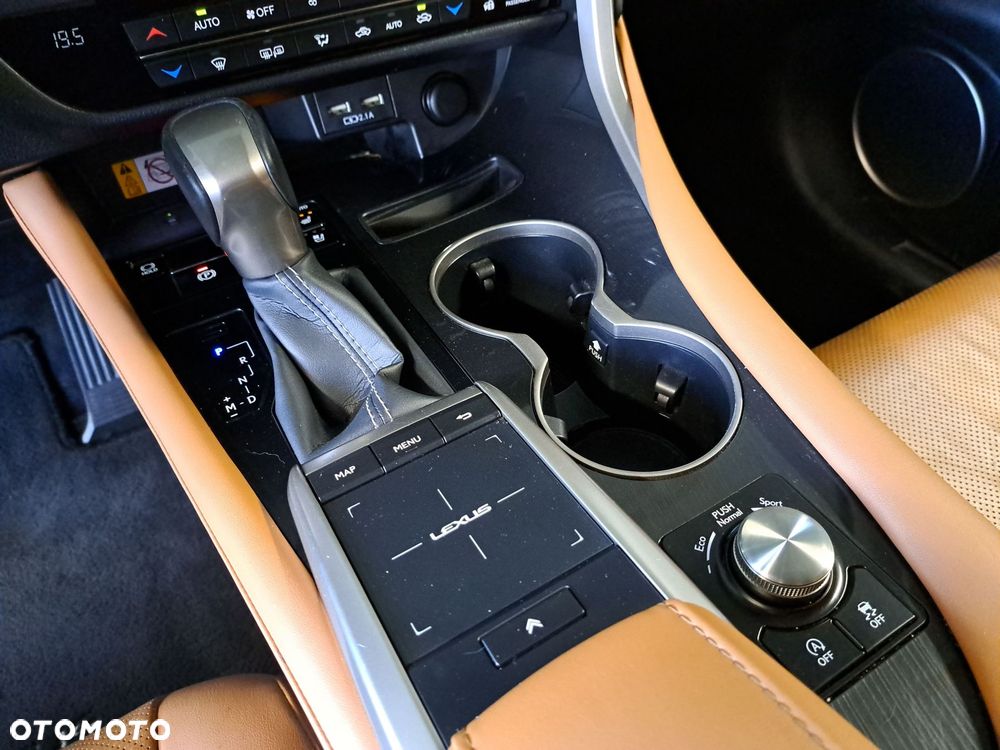 Lexus RX - 29