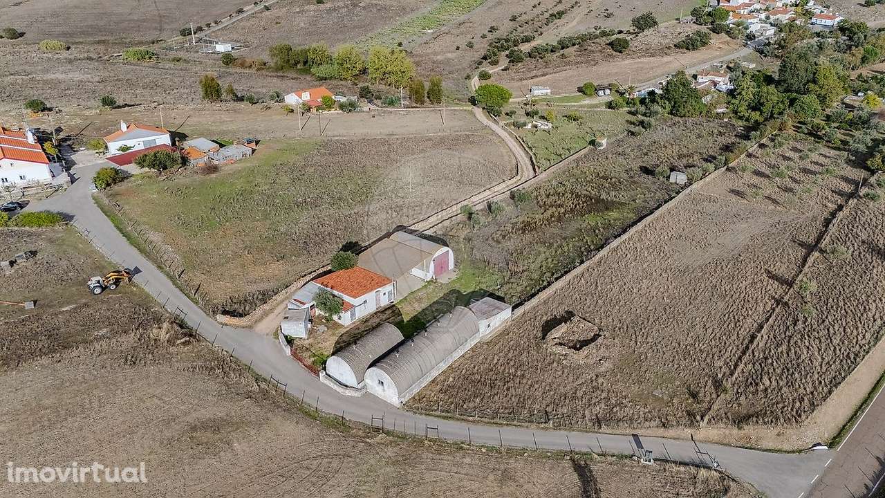 Investimentos  para arrendamento - Grande imagem: 3/5