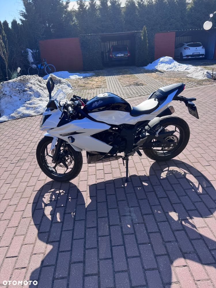 Kawasaki Ninja 250R - 1