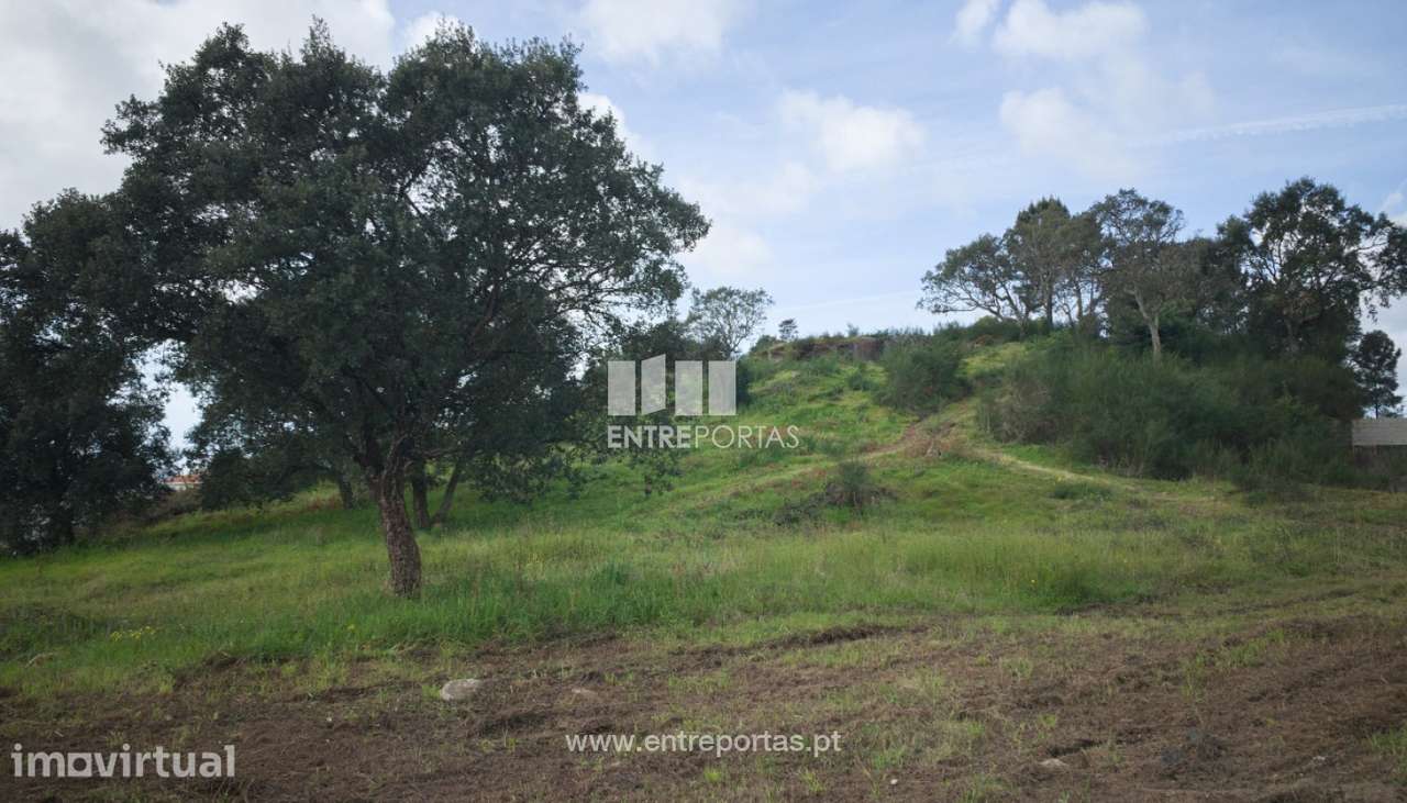 Venda de Terreno de construção, Serreleis, Viana do Castelo - Grande imagem: 5/25