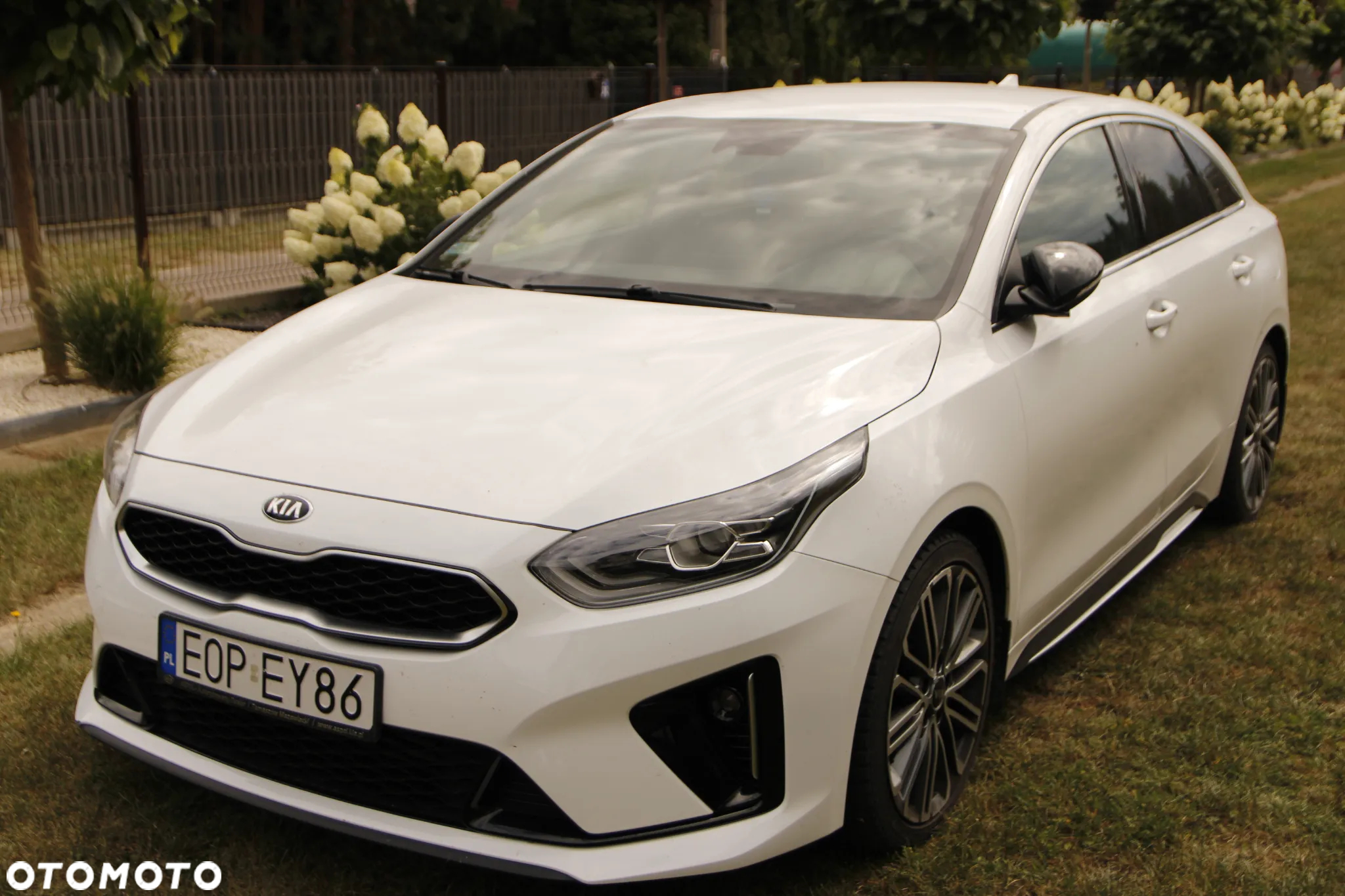 Kia ProCeed 1.4 T-GDI GT Line DCT - 10