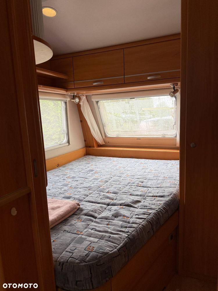 Wilk SPORT 490 - 7