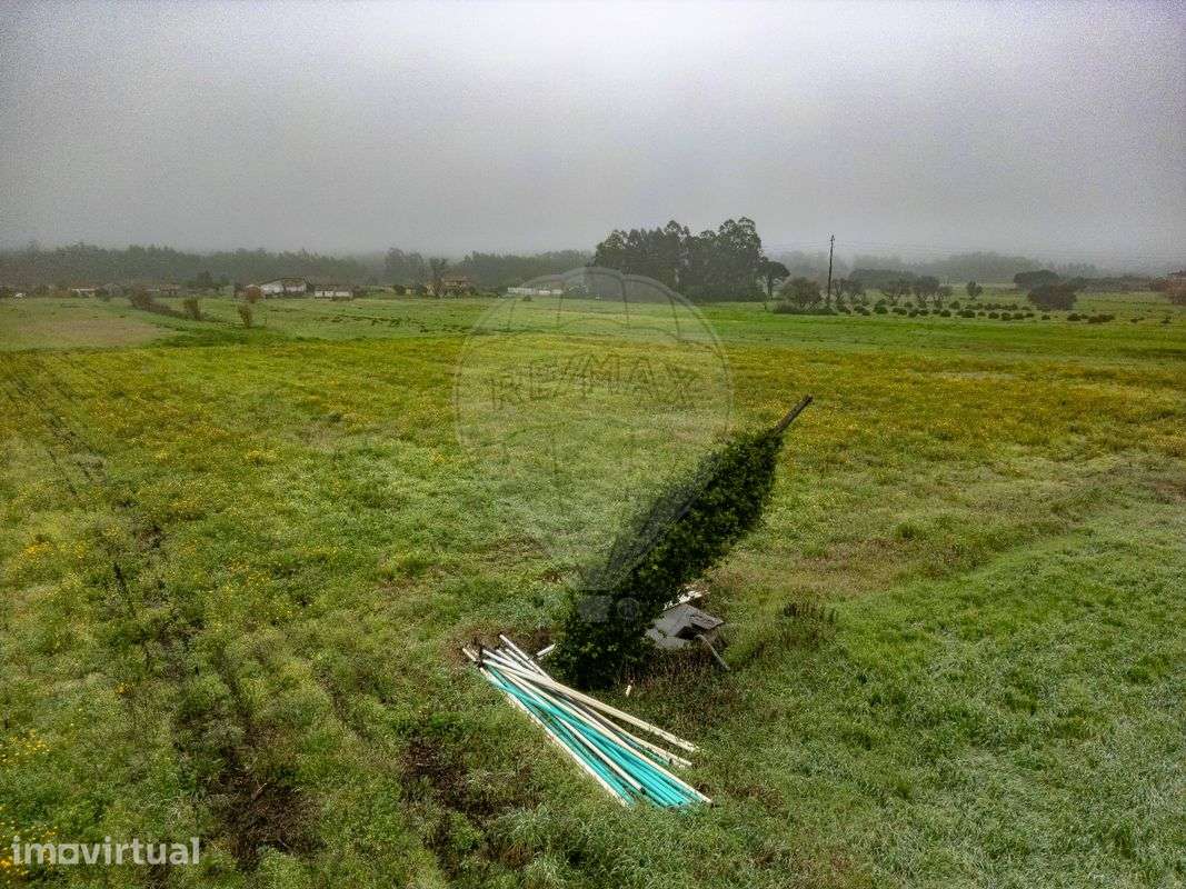 Terreno  para venda - Grande imagem: 5/6