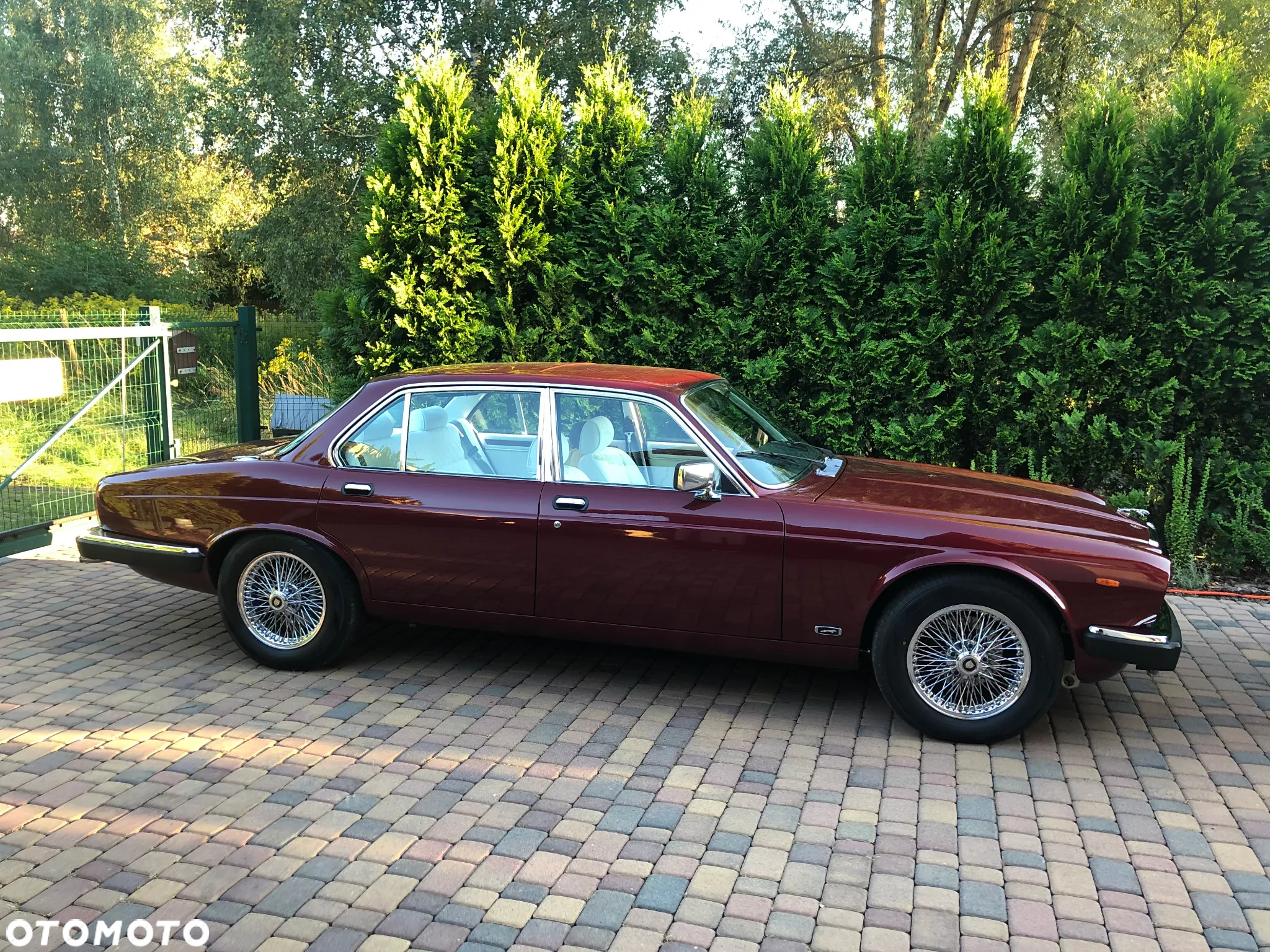 Jaguar XJ - 11
