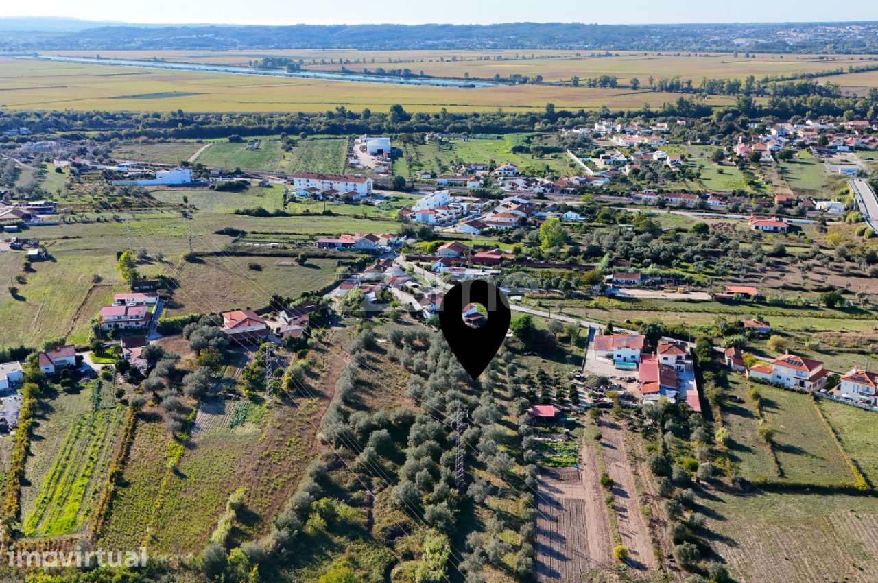 Terreno com 3.521 m² e Oliveiras em Santo Varão, Coimbra