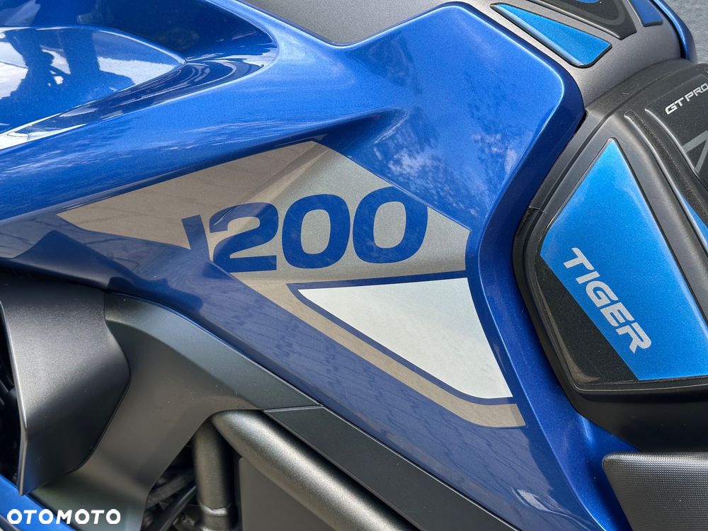 Triumph Tiger - 13
