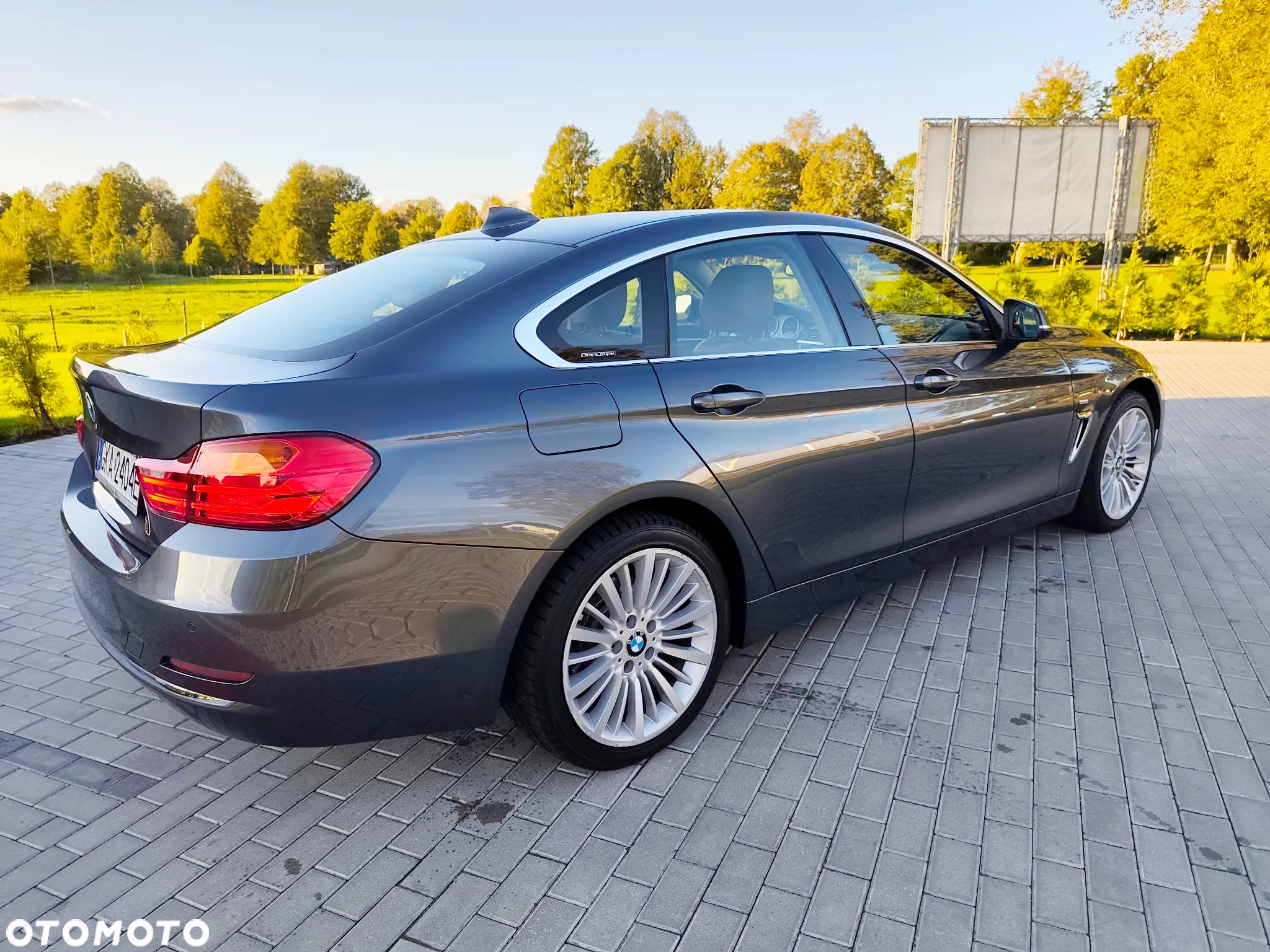 BMW Seria 4 420d Luxury Line - 7