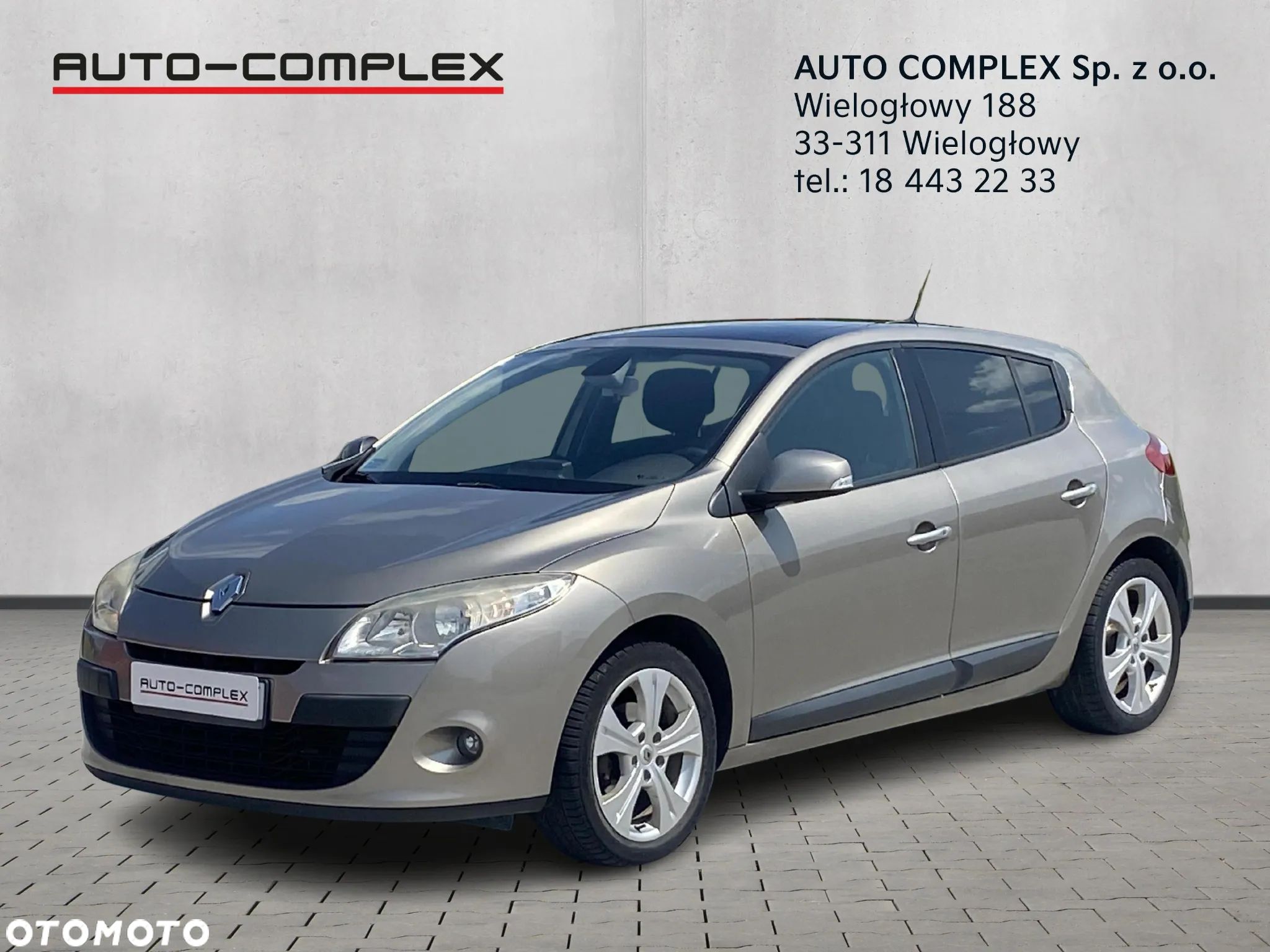 Renault Megane 2.0 16V Privilege CVT - 1