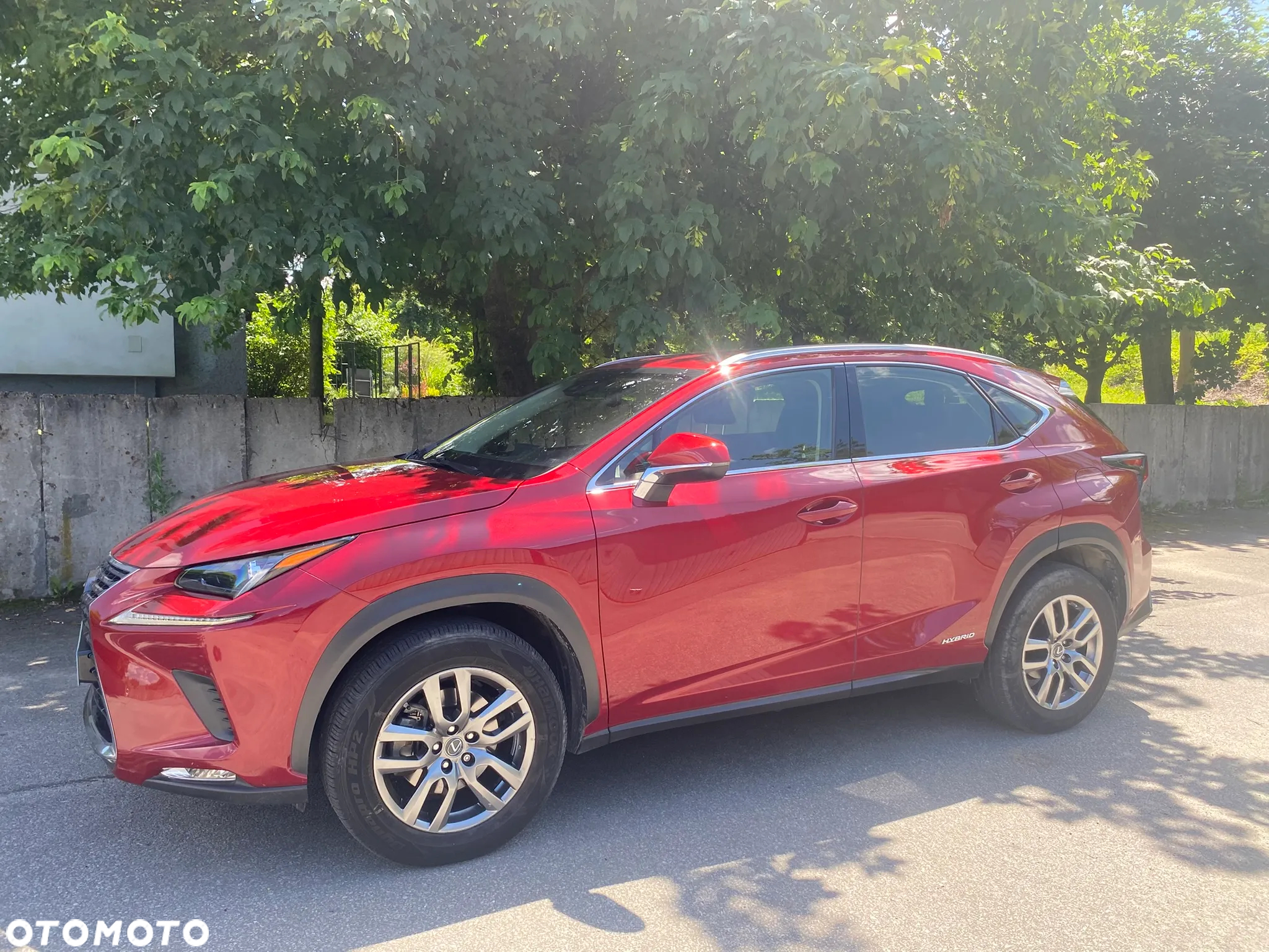 Lexus NX 300h Elegance AWD - 7